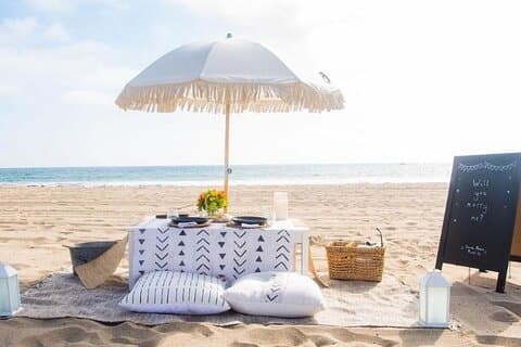 Classic Beach Picnic in Santa Monica