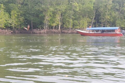 Private Mangrove Tour, Beach & Refreshing Waterfall