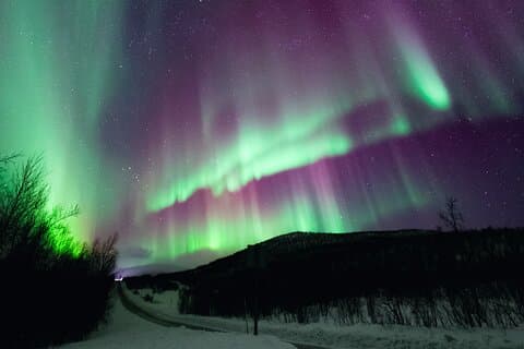 Rovaniemi : Northern Lights Expert Garanti - Illimité (PRIVÉ)
