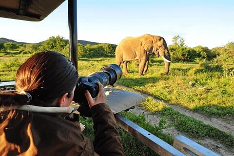 Excursion de camping en groupe de 3 jours à Tarangire, Ngorongoro et Manyara