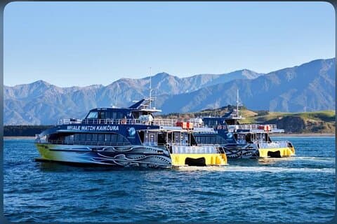 Excursion privée d'une journée d'observation des baleines à Kaikoura au départ de Christchurch