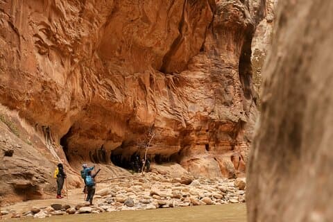 Zion Excursion d'une journée en petit groupe et randonnée - avec Narrows