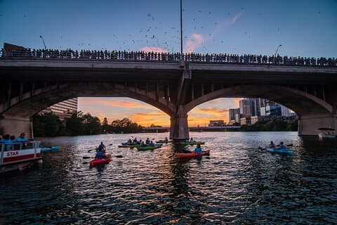 Congresbrug kajaktocht met vleermuizen