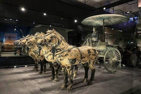2 Hours Terracotta Warriors Visit in China