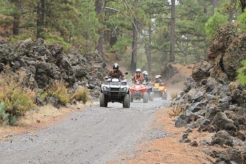 Bosquadtrip in Zuid-Tenerife
