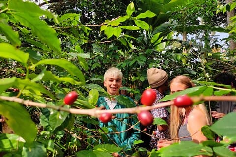 Hidden Arusha Waterfall, Village & Coffee Tour (All-Inclusive)