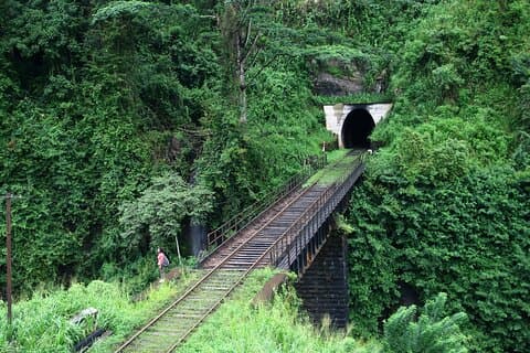 3 dages privat tur i Sri Lanka