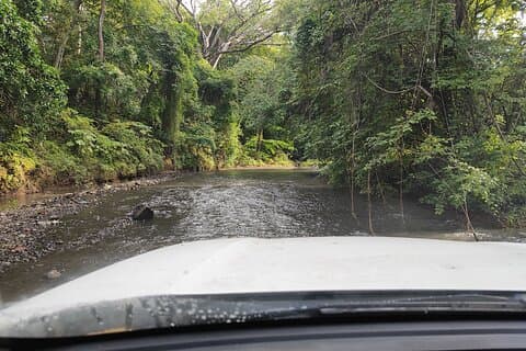 Privat fottur på Dry Forest i Costa Rica