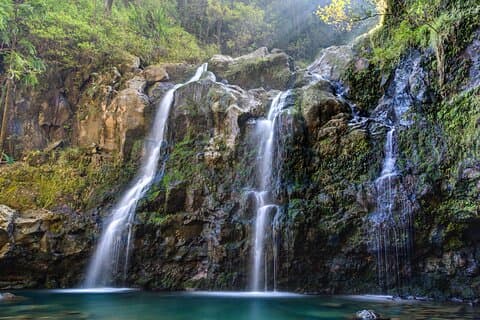 Excursion privée de 8 heures dans la jungle et ses cascades au départ de Maui