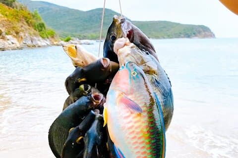 Erleben Sie privates Angeln in der Stadt Nha Trang