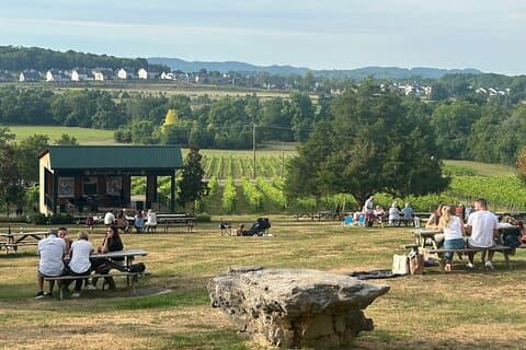 Excursión privada al vino de Arrington y Franklin Dine desde Nashville