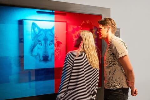 Museum of illusions Indgangsbillet