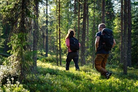 Vildmarksvandring i Rovaniemi