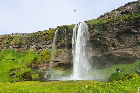Von Skarfabakki/Reykjavik: Private ganztägige Südküstentour