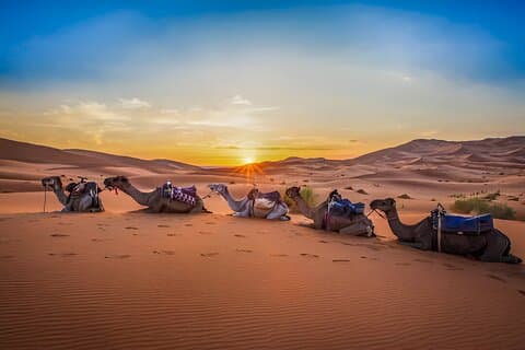 3 - Dag Sahara Nomad Desert ekspedisjon fra Fes til Fes gruppe turer