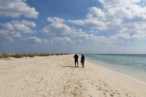 Hamata & Islas Qulaan Viaje de buceo con almuerzo : Marsa Alam