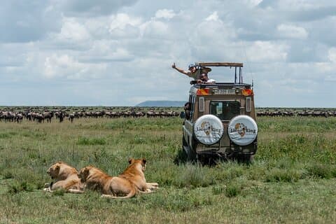 Private 6-Day Great Migration Ndutu Serengeti Safari Tour