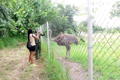 Accra Zoo & Aburi Botanical Gardens Tour