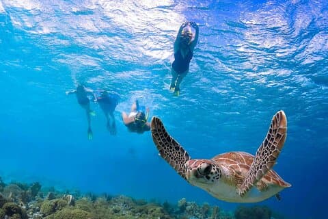 Abu Dabab Semi-Private Trip with tickets & lunch from Hurghada