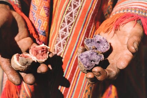 Cusco's Potato King