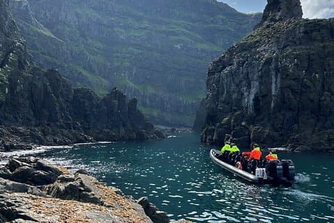 1 Hour Iceland Nature and Wildlife RIB Small Group Guided Safari