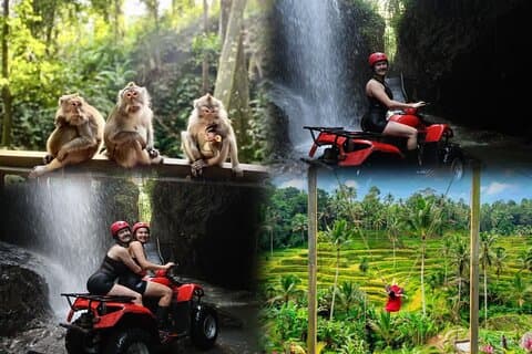 Bali ATV Ride waterfall track and Ubud Tour