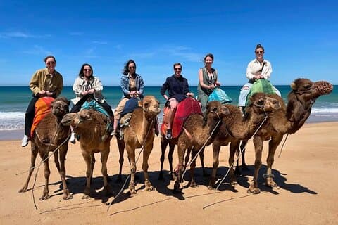 4 hour private Tour of Tangier