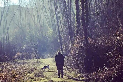 リボルノ港からのトリュフ狩りとオプションのピサまたはチェルタルド