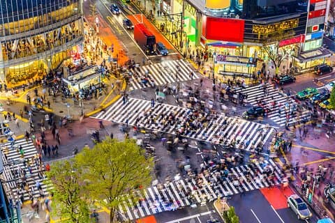 Tokyo Small Group Tour med guide