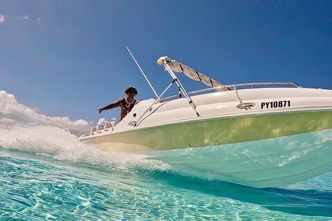 Crazy sea horse Bora Bora Comfortable boat, snorkeling and lunch