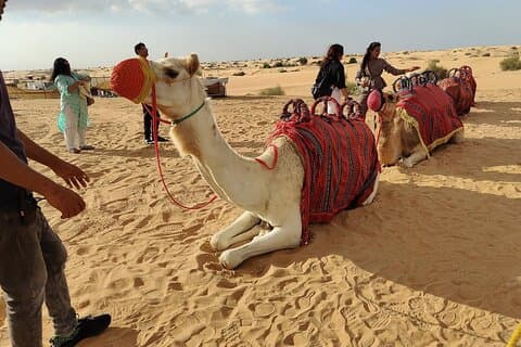 Dubai Desert Safari, Quad Bike, Camel Ride, BBQ en drankjes