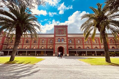 Sip, Savour & Strøm Barossa til Hahndorf - Cruise Ship Pickups