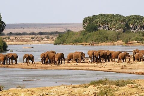 2 dagars Hluhluwe Imfolozi och Isimangaliso W Park Tour från Durban