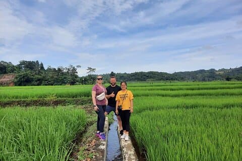 Aventure culturelle d'une journée à Bogor avec cascade et rizière