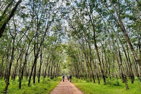 Ho Chi Minh: Den legendariske Cu Chi tunnels sykkeltur