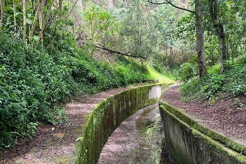 Caminata Privada en las Calles de Bogotá