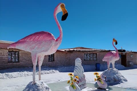 3 dages tur i Salar de Uyuni