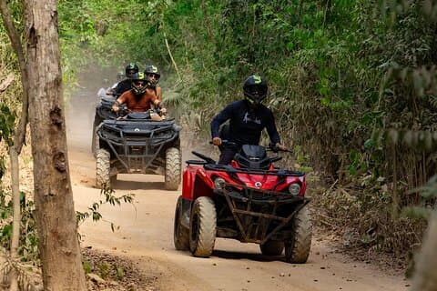 Nado en un cenote oculto y aventura en vehículos todoterreno por la jungla con transporte
