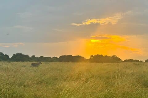 Bird Watching Safari, Fossil Hunting og Bush Dinner i naturen