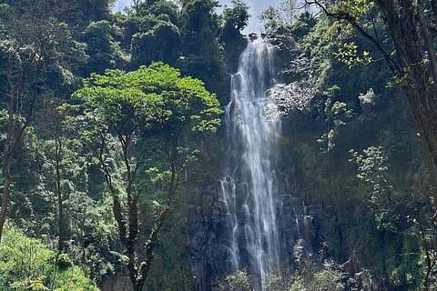 Daytrip Materuni Waterfalls Coffee tour and Kikuletwa Hot Springs