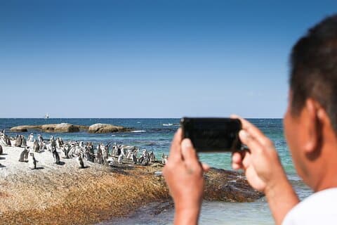 Heldag Cape Peninsula och Apartheid historia upplevelse