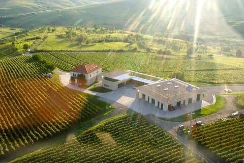 Bukarest: Privat vinsmagningstur i "Toscana of Romania"