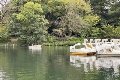 Kichijoji Family Adventure –4-Hour Custom Private Tour