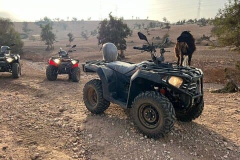 Safari nel deserto in quad da Taghazout e capre sull'albero di Argan