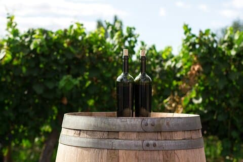 Prague Private Wine Tour