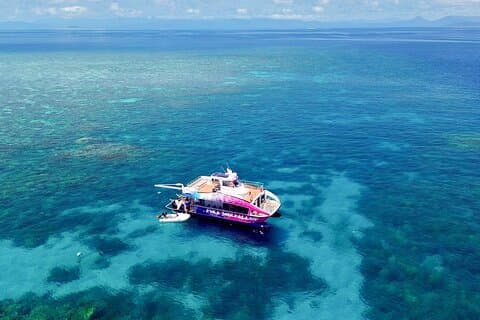 Half Day Great Barrier Reef Snorkeling Tour