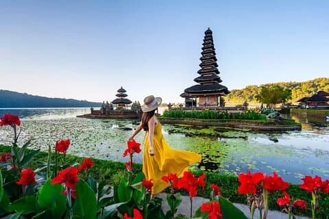 Northern Side of Bali Private Day Tour