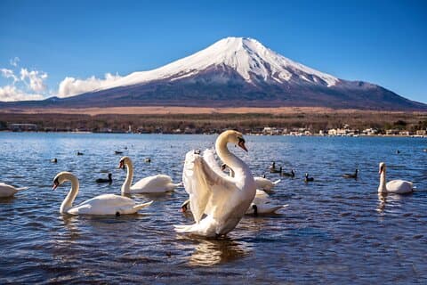 Mt. Fuji Kawaguchi/Hakone/Yokohama Tokio, individuelles Privatauto