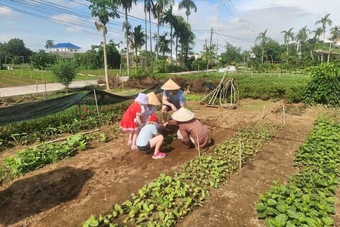 Hoi An Eco -Fishing,Buffalo Ride,Vegetable Farming, Authentic Lunch,Foot massage