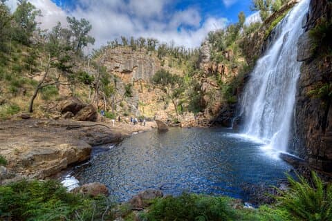 Small-Group Grampians Great Wildlife Escape Day Trip with Hiking